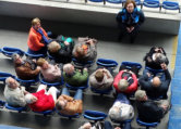 Bezoek KRC Genk