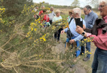 De ontluikende natuur. Het is echt LENTE